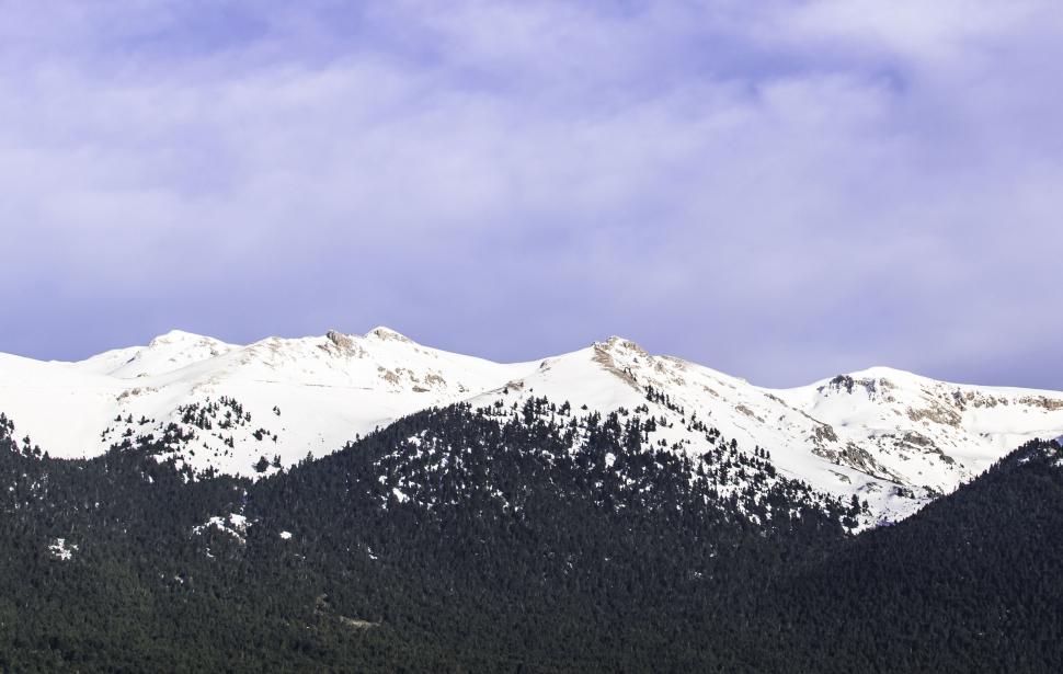 Free Image of Snow-covered peaks behind a forest 
