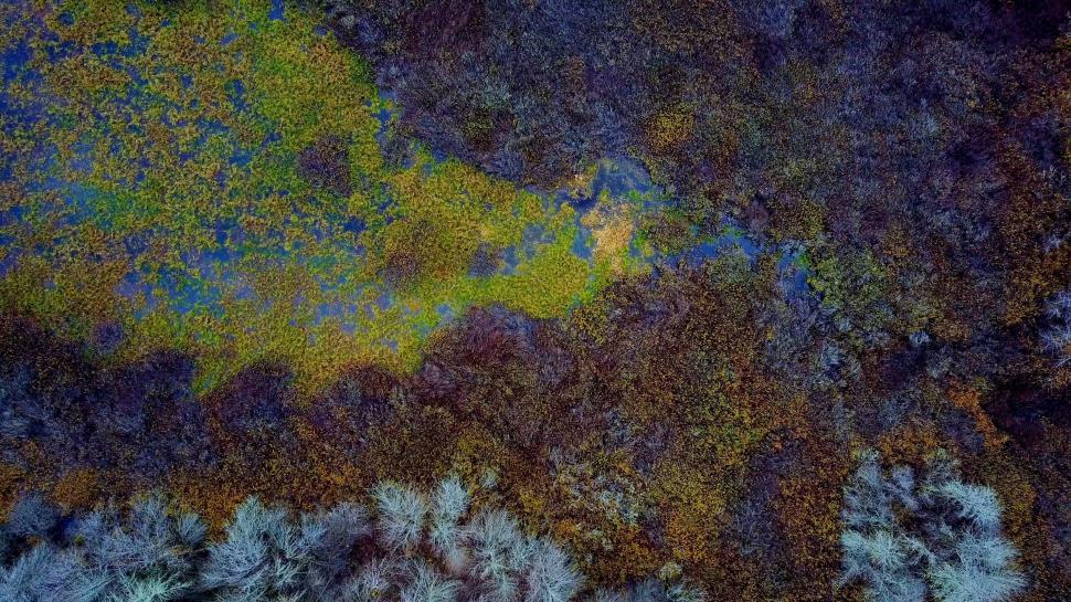 Free Image of Aerial view of colorful wetlands texture 