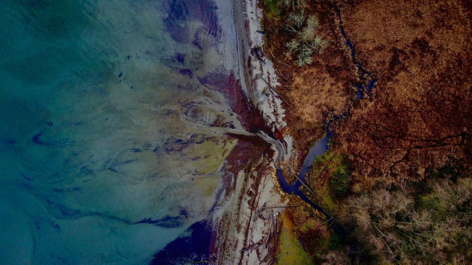 Free Image of Drone shot of river by the seashore 