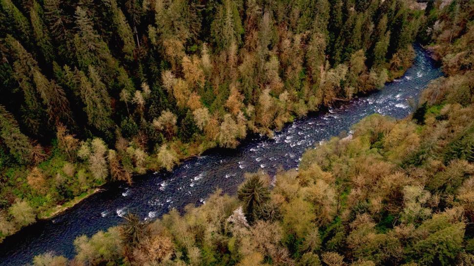 Free Image of Top-down view of a winding forest river 