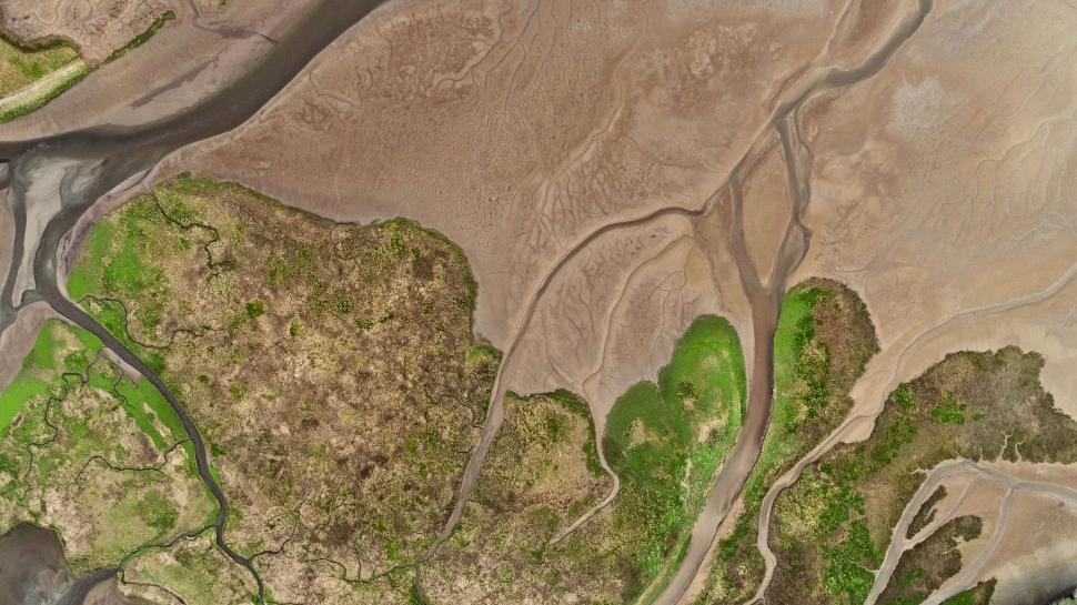Free Image of Aerial shot of wetland patterns 