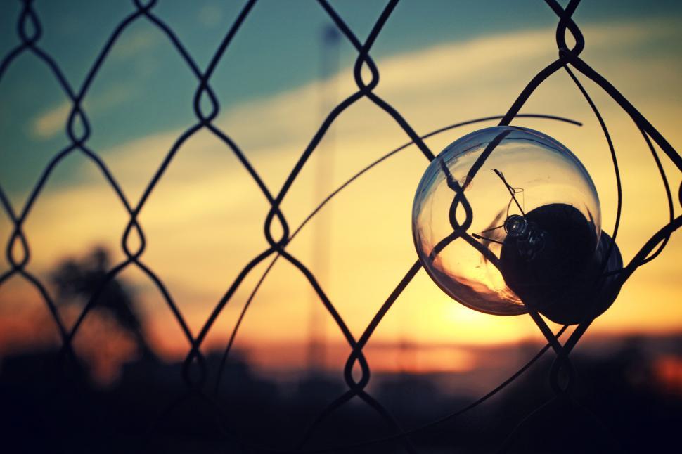 Free Image of Broken bulb in chain-link fence during sunset 