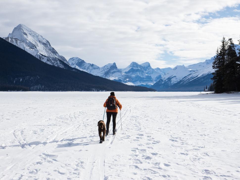 Free Image of Person hiking with dog in snowy landscape 
