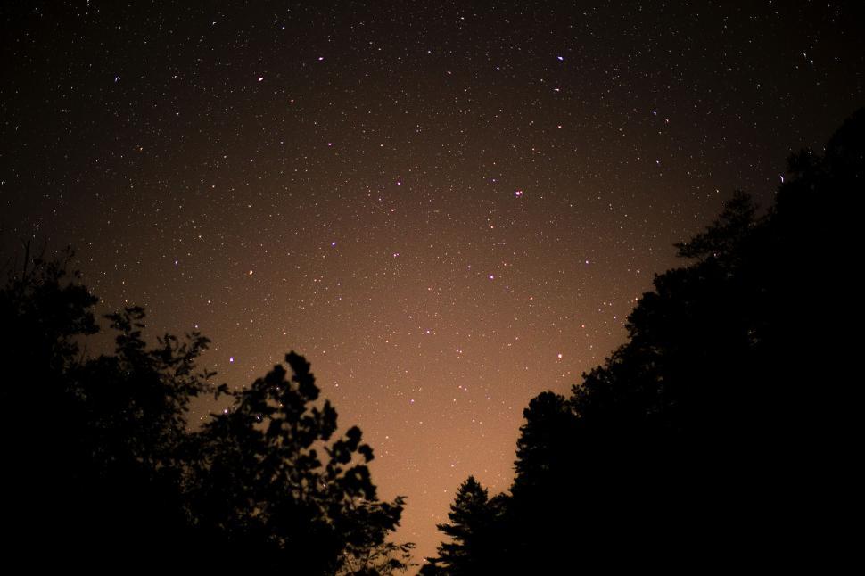Free Image of Milky Way over silhouetted trees at night 