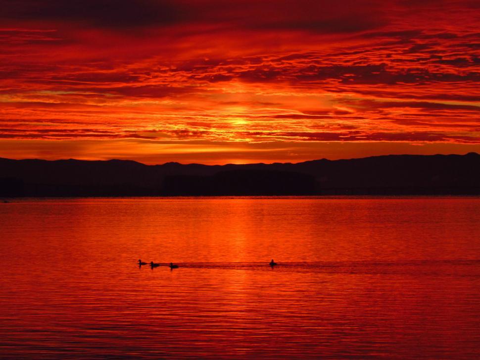 Free Image of Fiery sunset over tranquil lake with ducks 