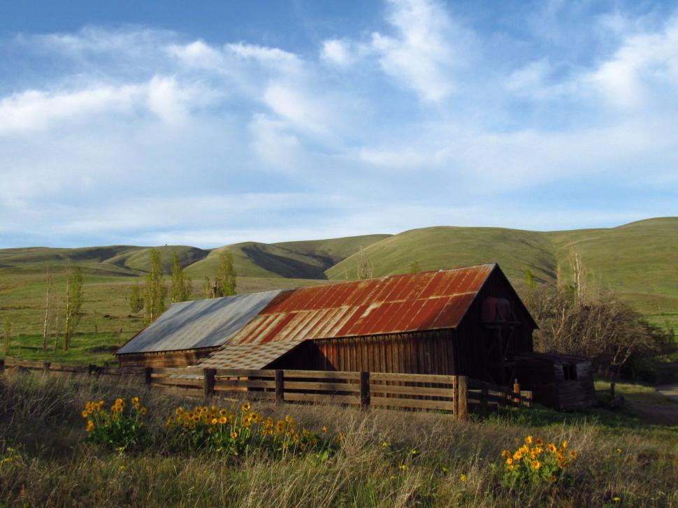 Free Image of Rustic barn surrounded by wildflowers and hills 