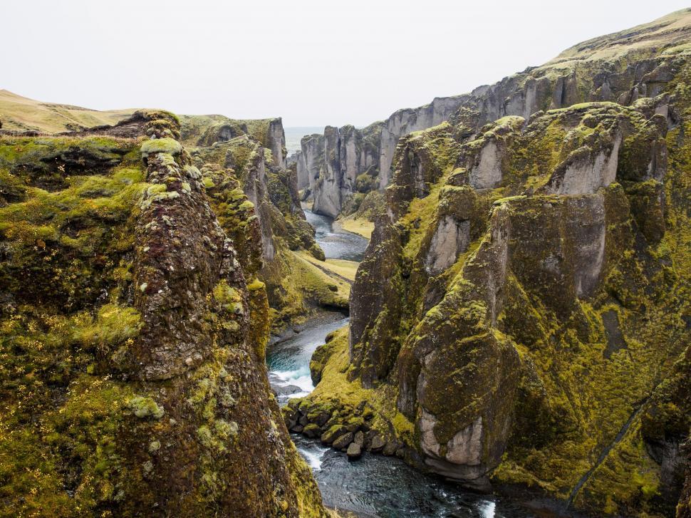 Free Image of Scenic view of moss-covered canyon 