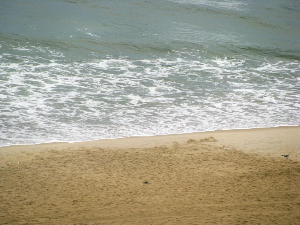 Free Image of Sandy beach with foamy sea waves 