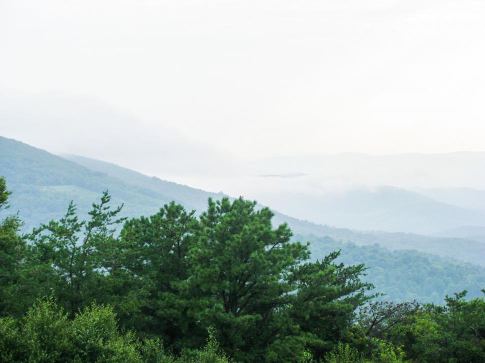 Free Image of Misty mountain landscape with green trees 