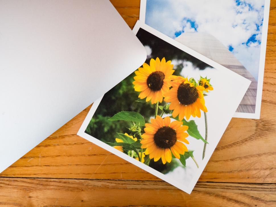 Free Image of Printed photos of sunflowers on wooden table 