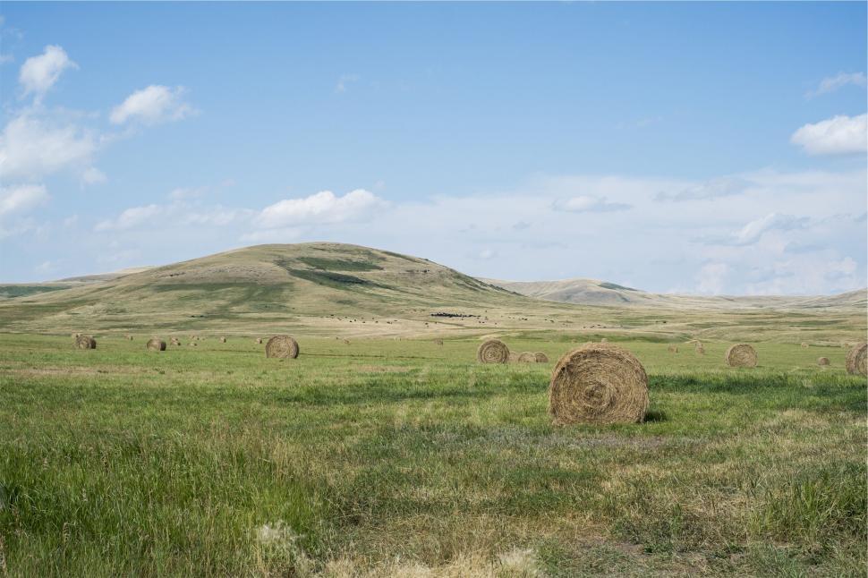 Free Image of Hay bales scattered across a green field 