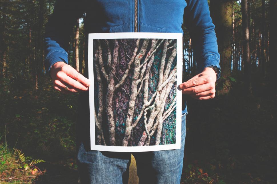 Free Image of Person holding tree bark image 