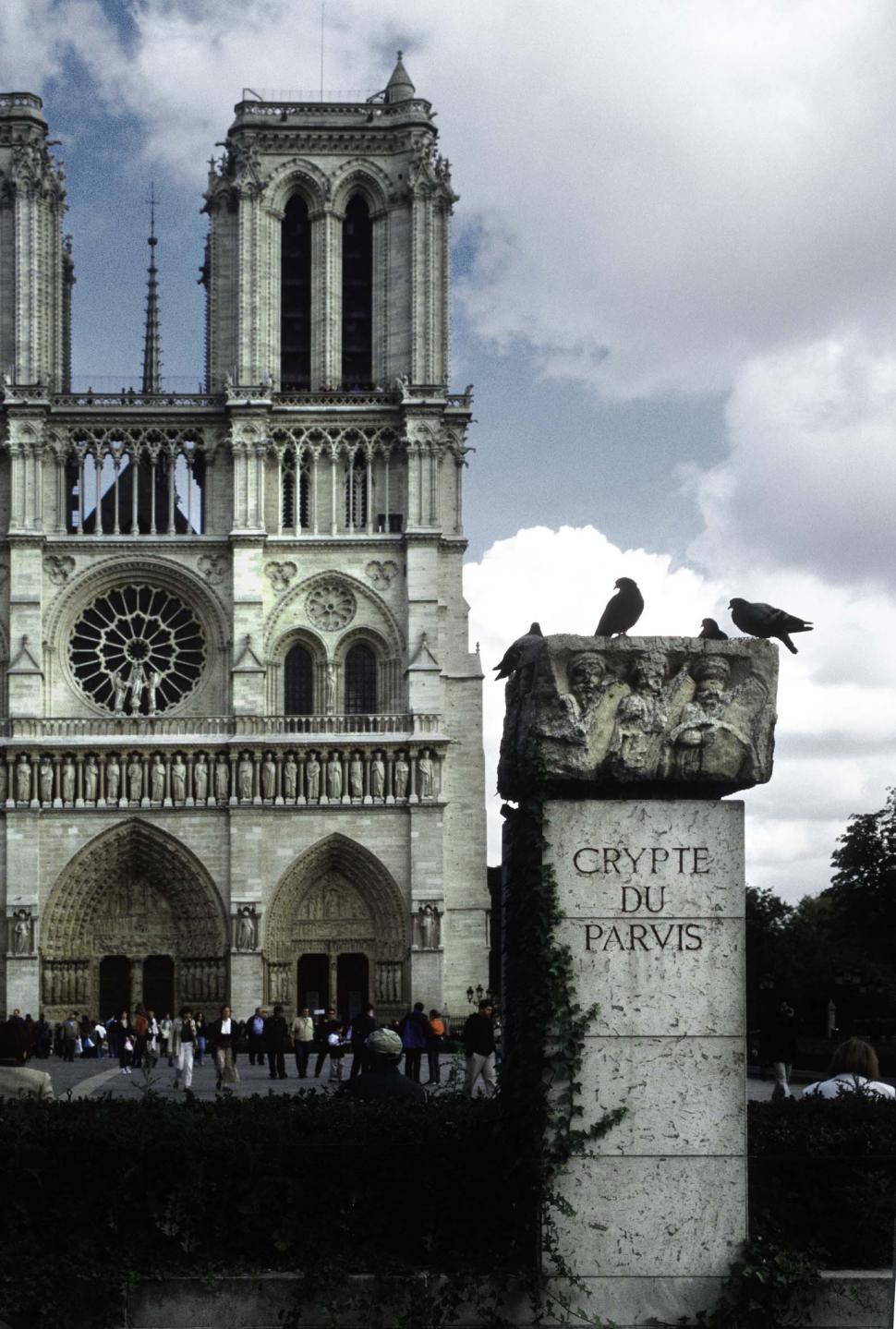 Free Image of france notre dame gothic cathedral landmark crypt crypte du paris birds spooky french historic creepy underground europe european paris scary 