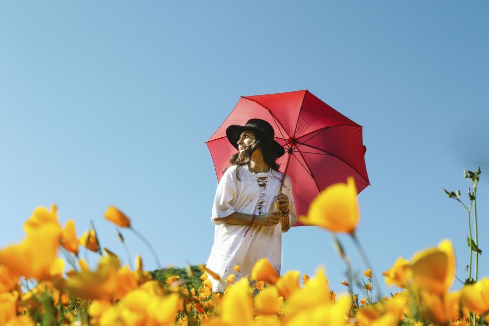 Free Image of Woman with red umbrella among yellow flowers 