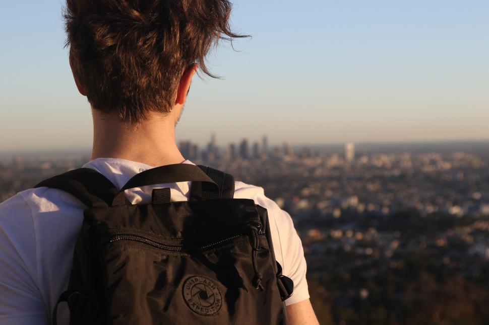 Free Image of Back view of a person overlooking cityscape 