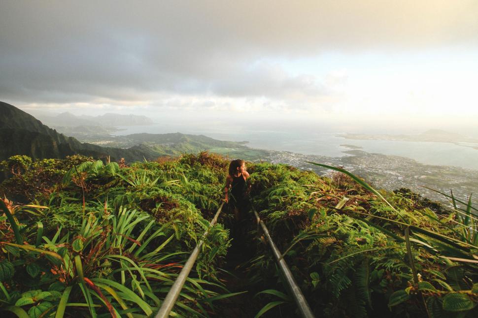 Free Image of Hiker overlooking a lush tropical landscape 