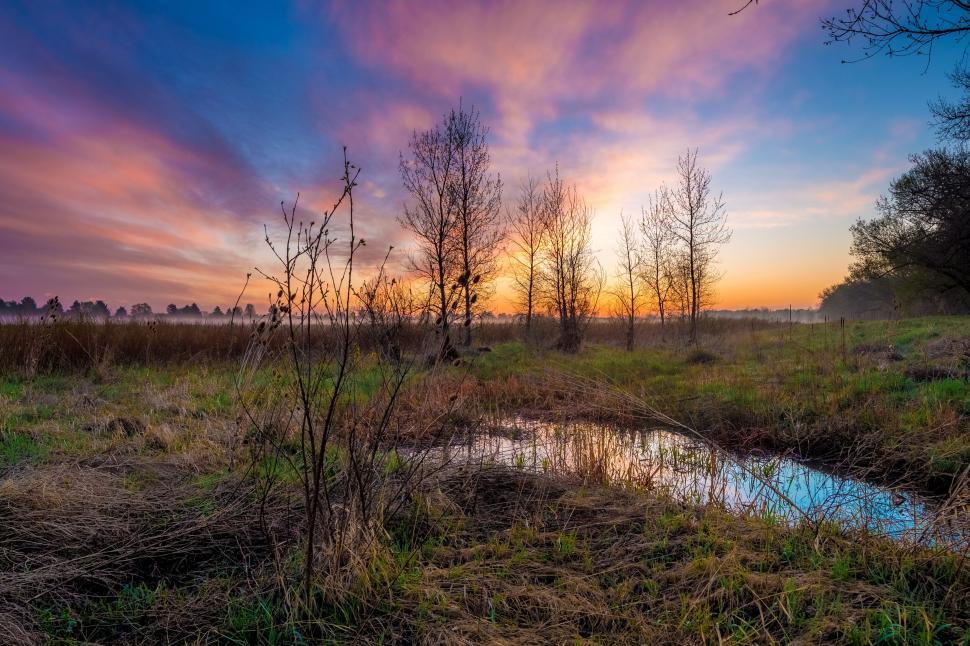 Free Image of Sunset over water and wild grass landscape 