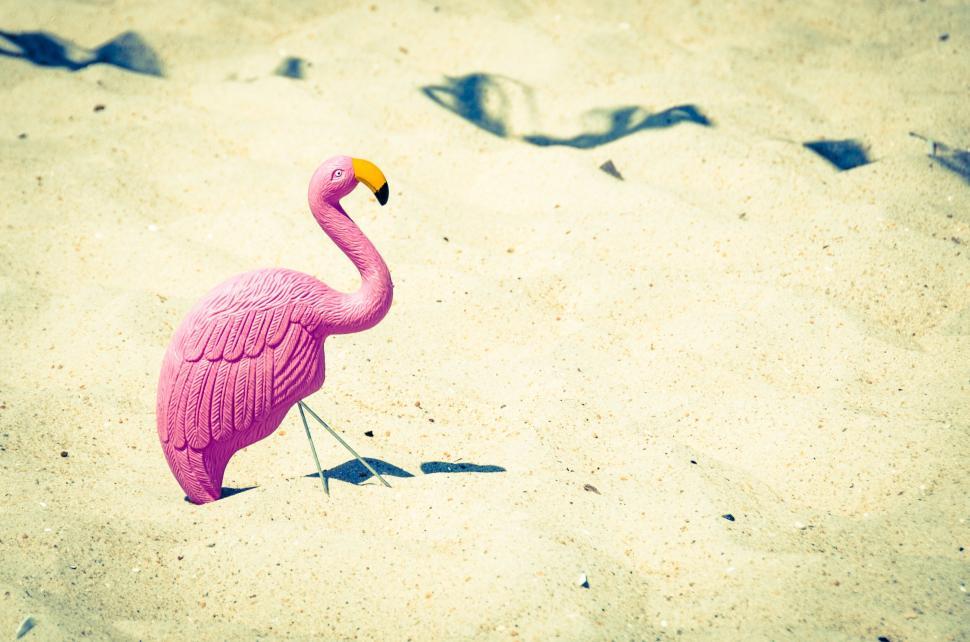Free Image of Playful pink flamingo toy on sandy beach 