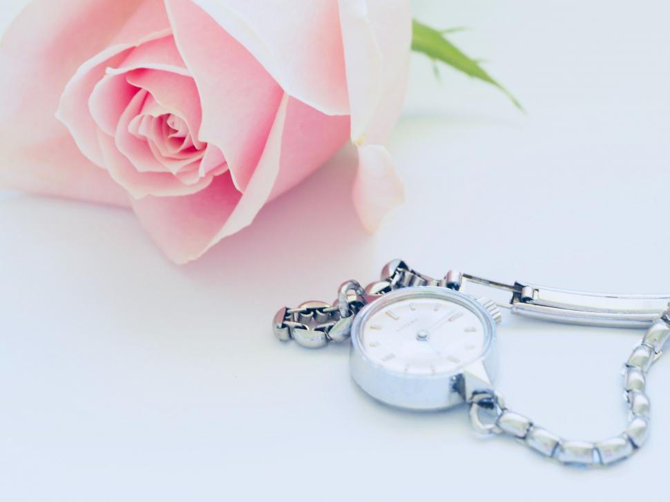 Free Image of Elegant watch with blurred background 