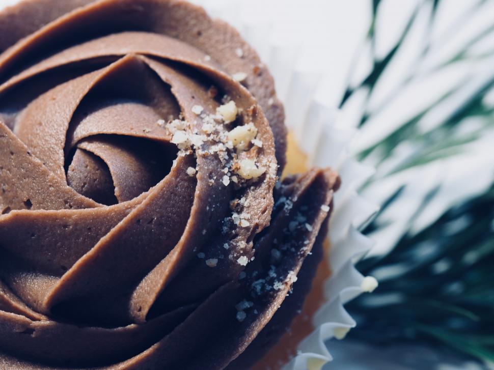 Free Image of Close-up of chocolate cupcake with frosting 