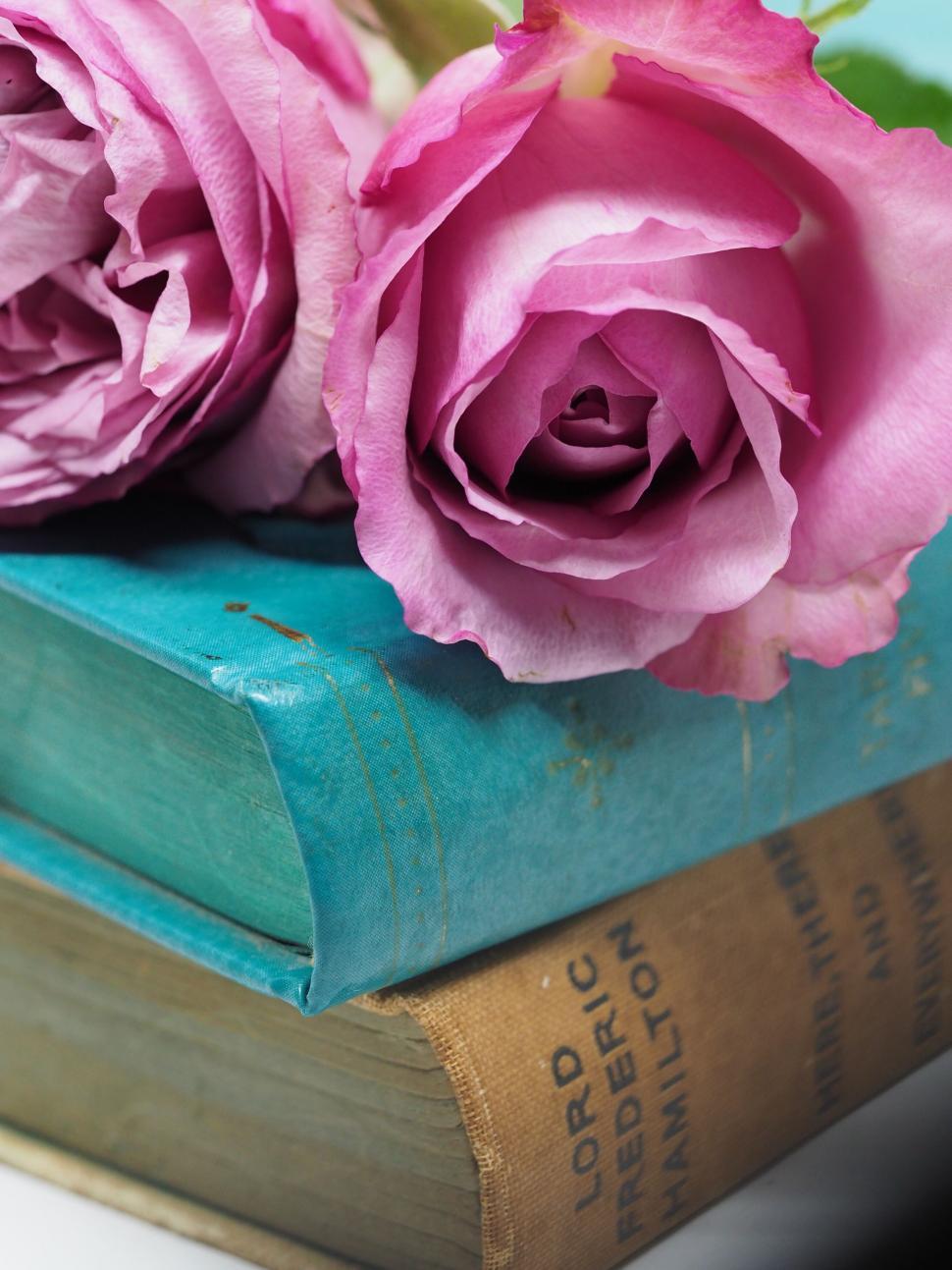 Free Image of Vintage books with pink roses on top 