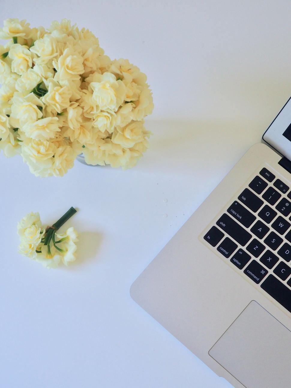 Free Image of Laptop with yellow carnations on white desk 