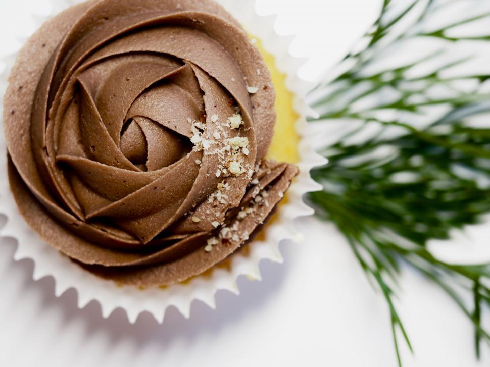 Free Image of Chocolate cupcake with whipped frosting 