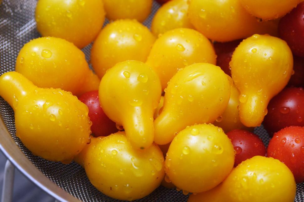 Free Image of Small pear tomatoes 