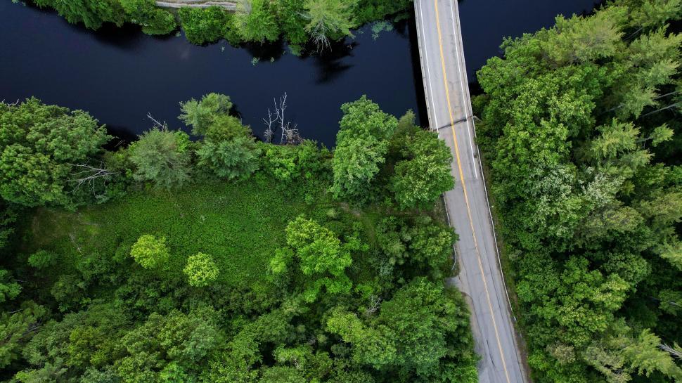 Free Image of Overhead view of bridge over forest 