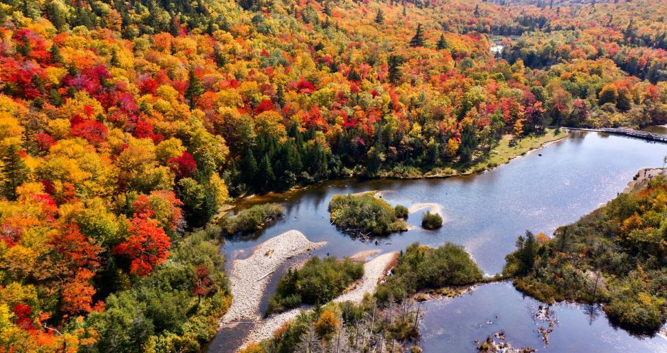 Free Image of Aerial view of a river amidst fall foliage 