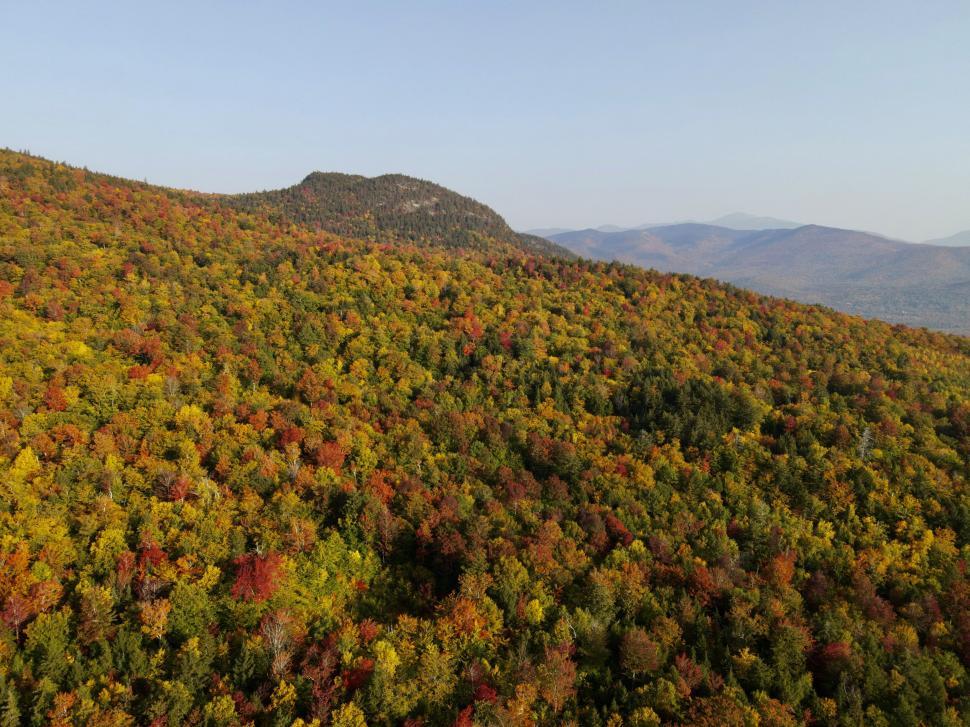 Free Image of Autumn foliage covering a mountain range 