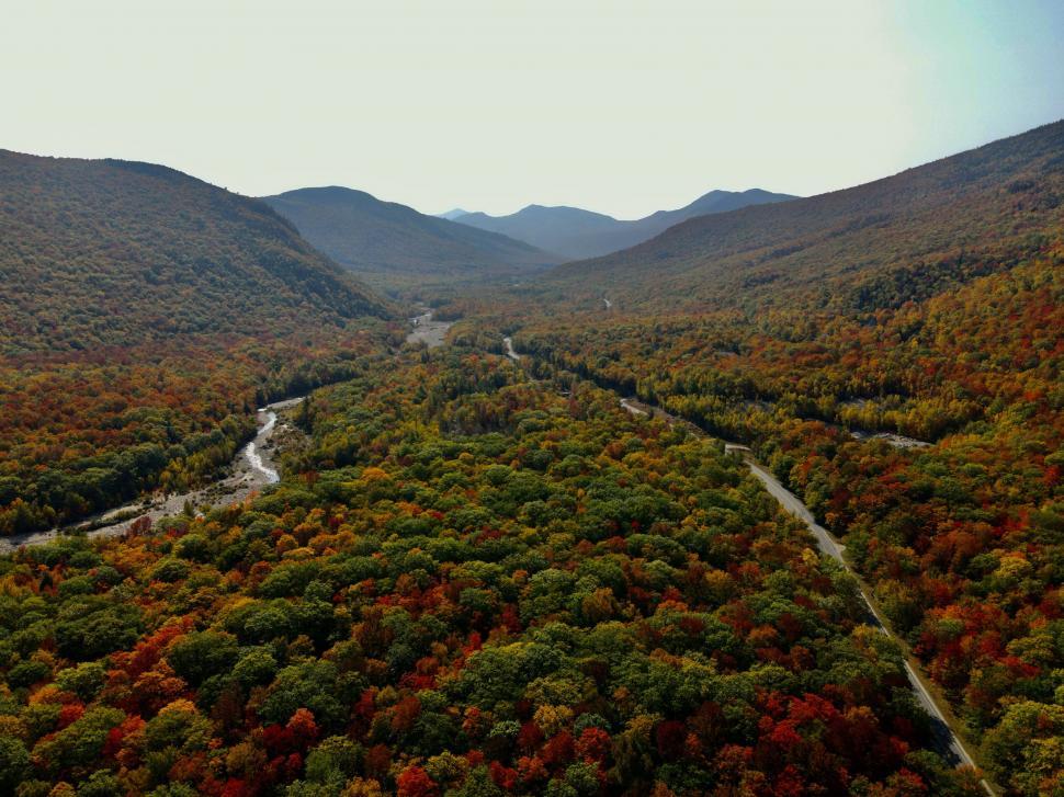 Free Image of Aerial photo of valley with autumn trees 