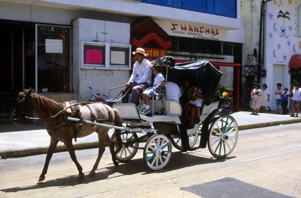 Free Image of Horse and carriage 