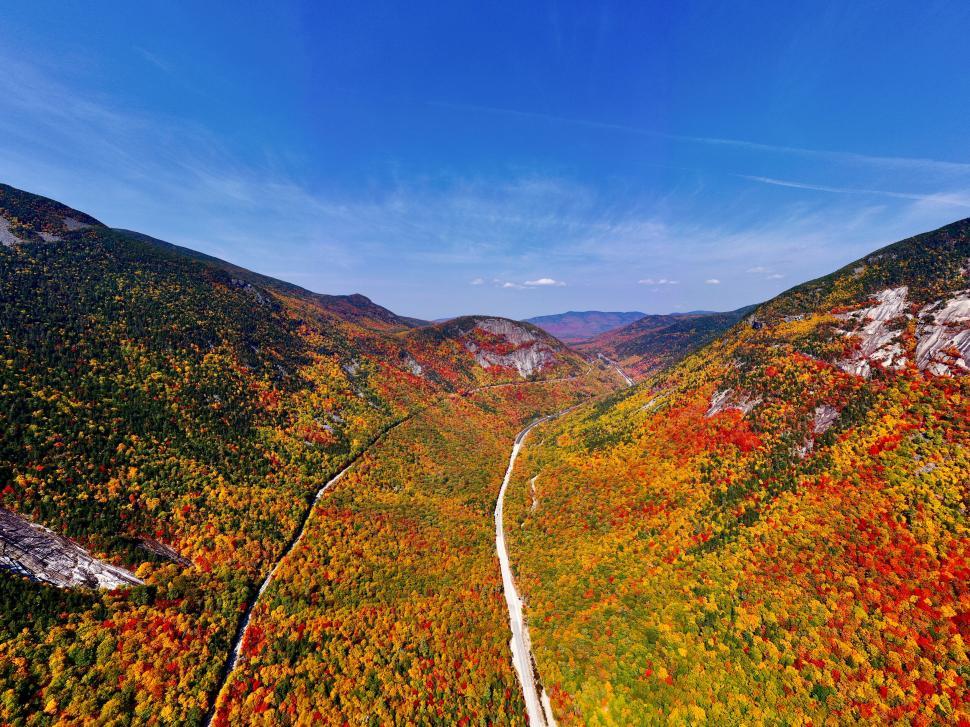 Free Image of Autumn foliage canopy over mountain road 