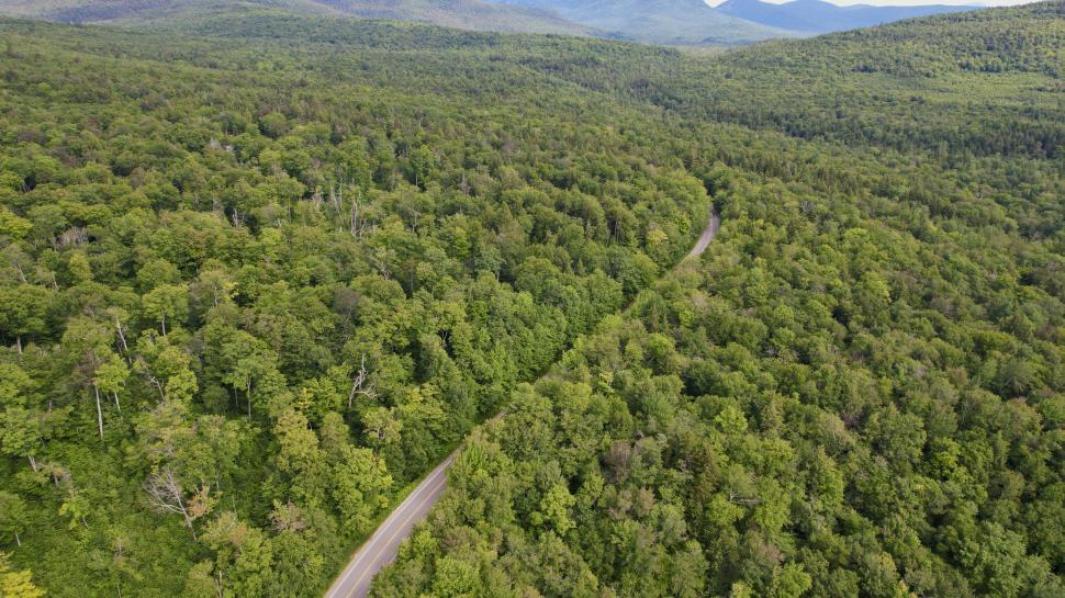 Free Image of Aerial view of a winding road through forest 