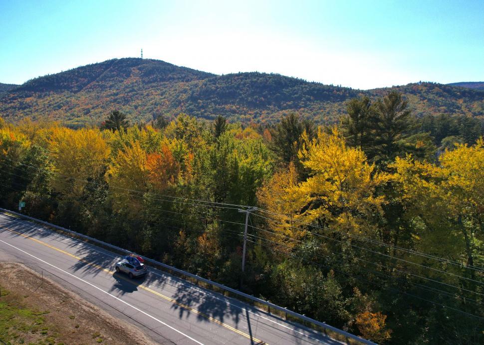Free Image of Vibrant autumn colors near mountain road 