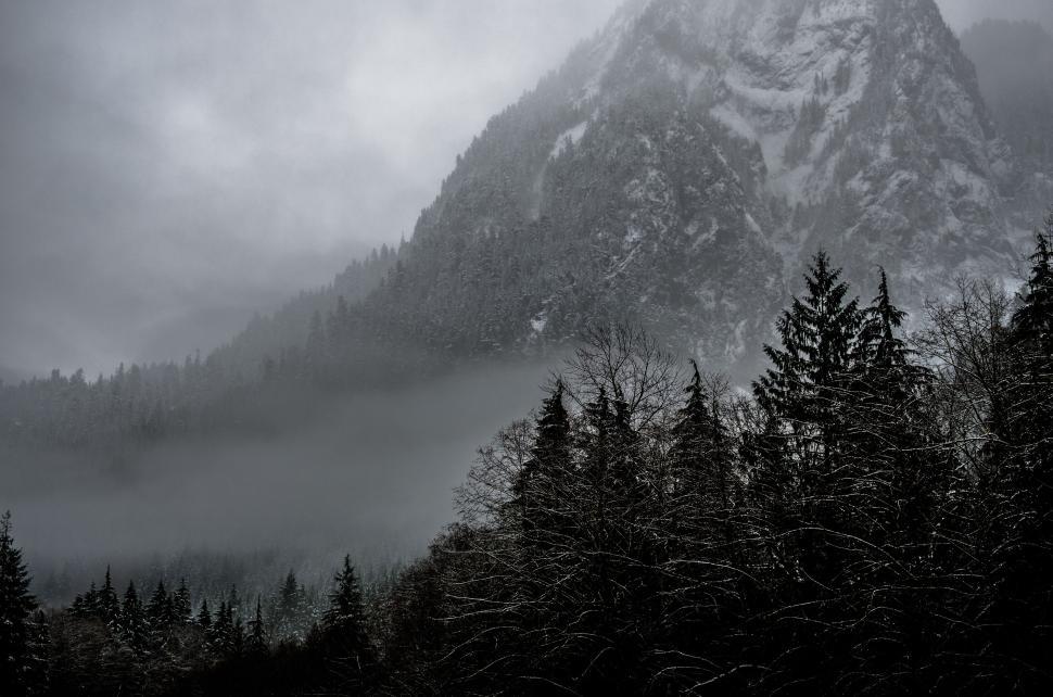 Free Image of Winter forest and mountain in fog 