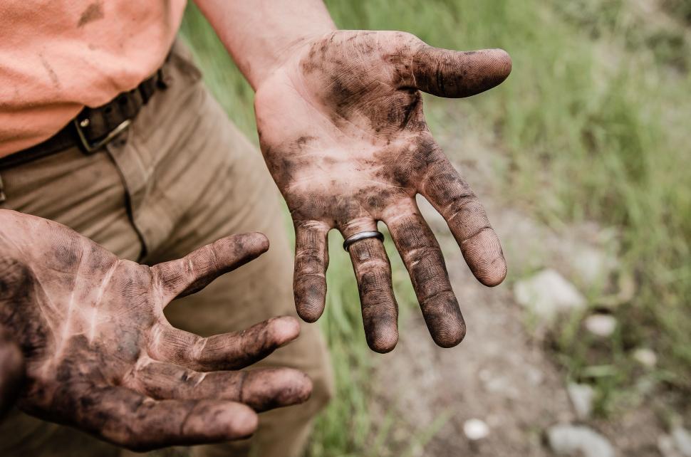 Free Image of Dirty hands showing hard work and labor 