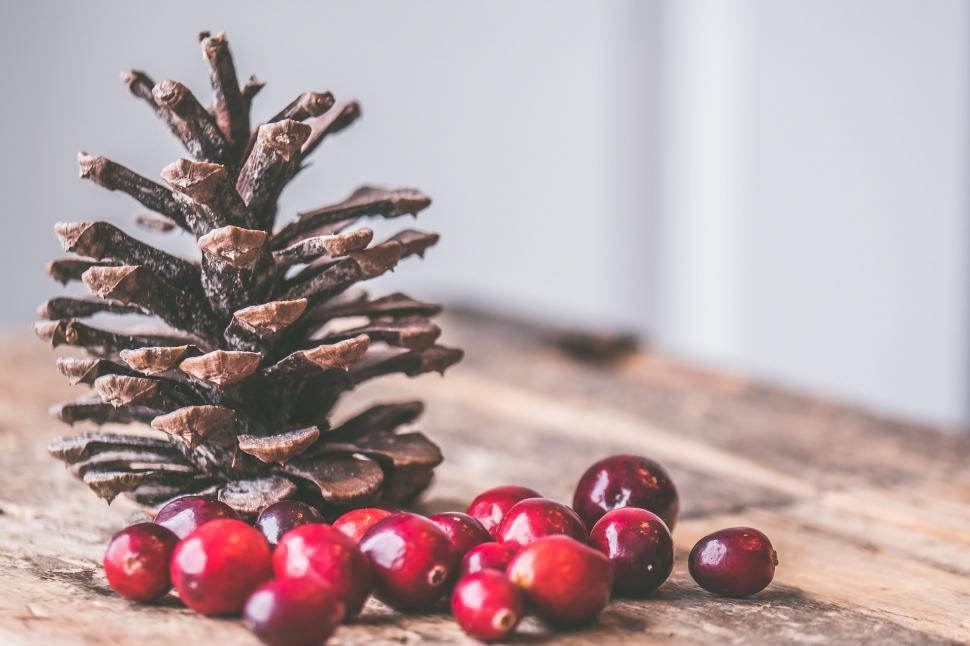 Free Image of Pine cone and cranberries on wooden background 