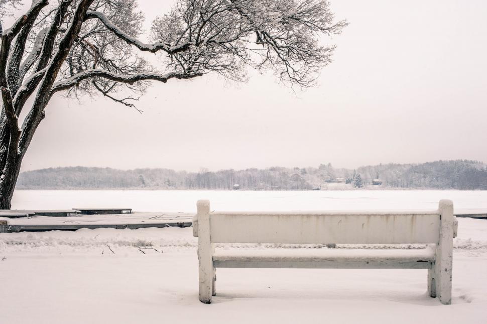 Free Image of Snow-covered bench overlooking a frozen lake 