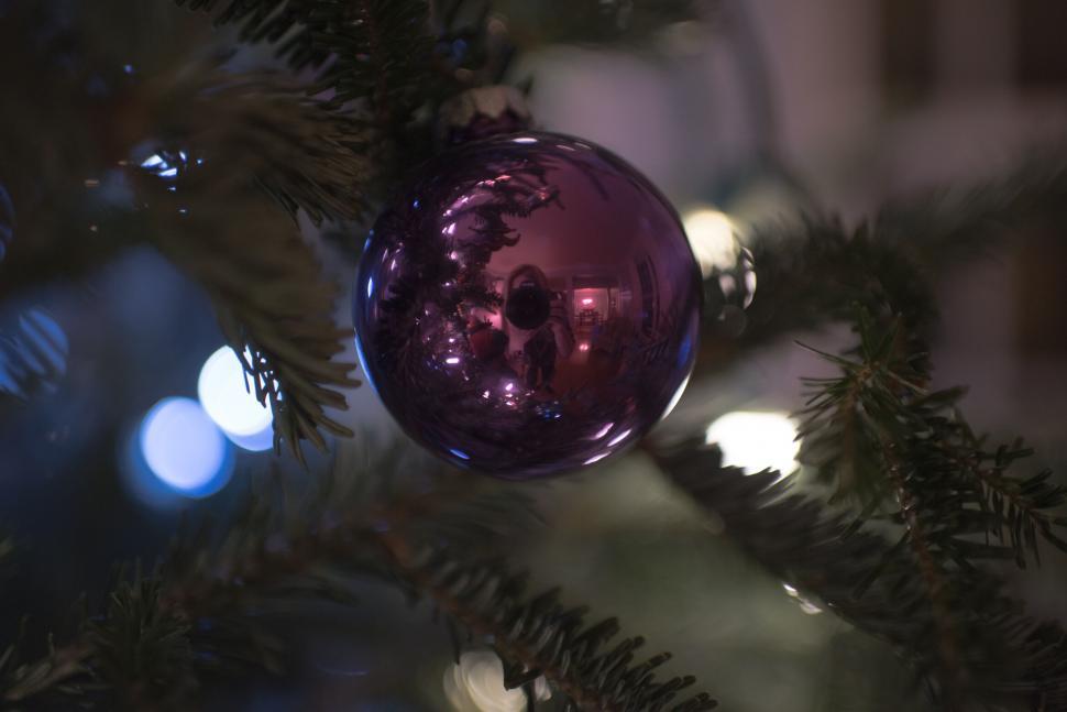 Free Image of Reflective purple bauble on a Christmas tree 