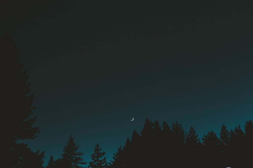 Free Image of Night sky with a crescent moon above trees 