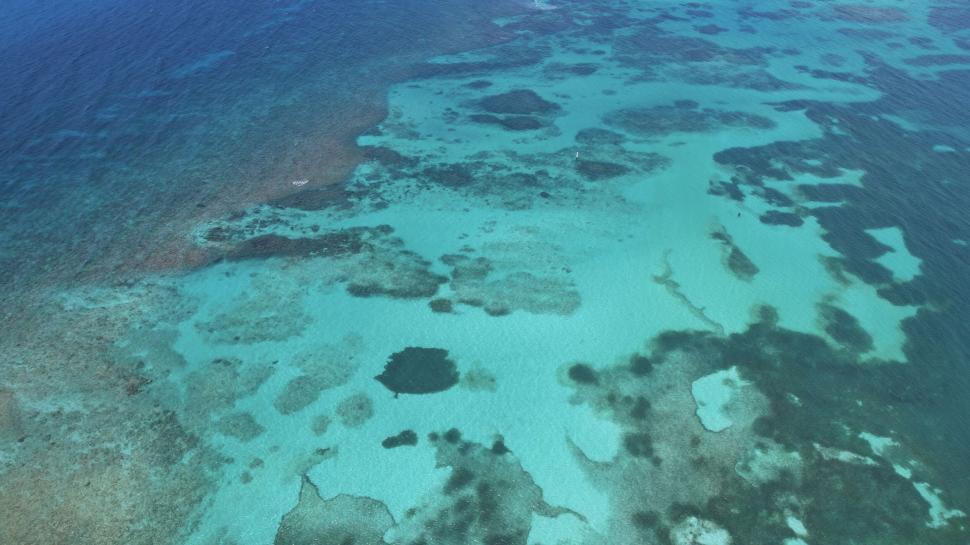 Free Image of Aerial view of a coral reef under the clear blue water. 