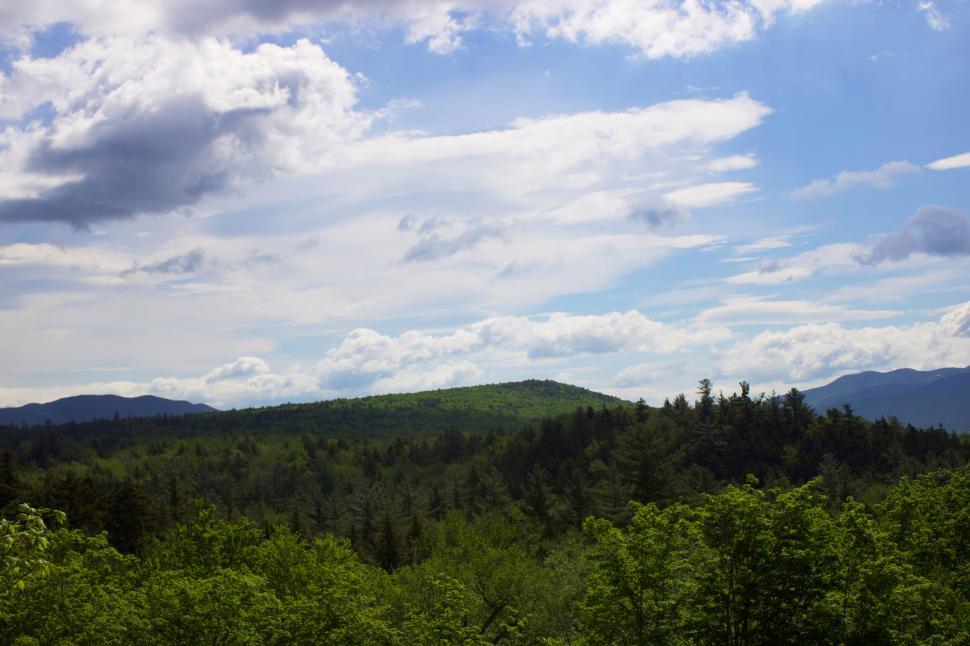 Free Image of Expansive forest landscape with rolling hills and sky 