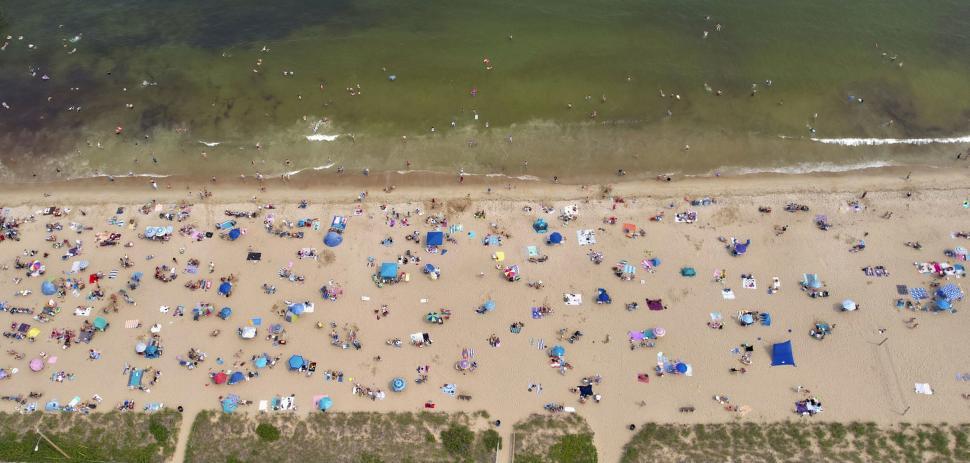 Free Image of Busy sandy beach with umbrellas and people enjoying summer 
