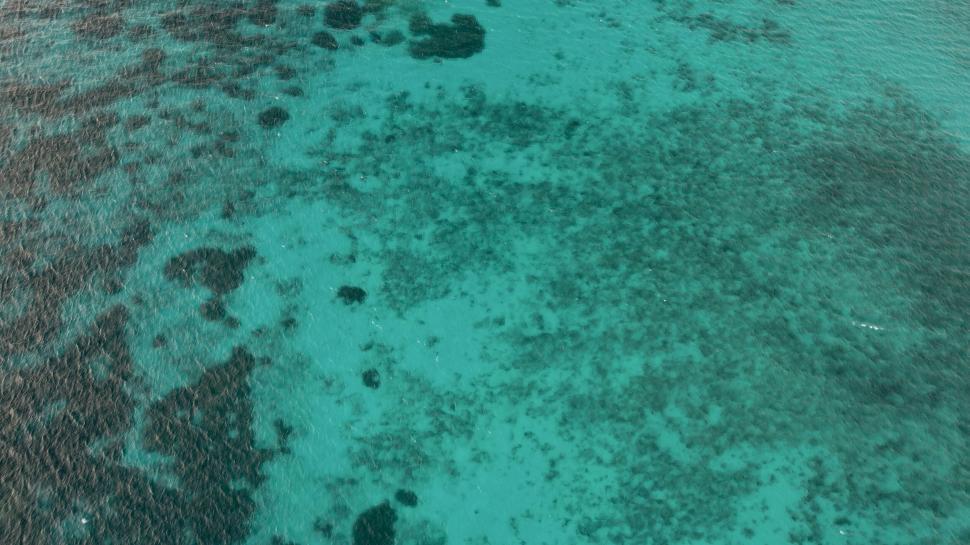 Free Image of Aerial view of clear turquoise waters with coral reefs 