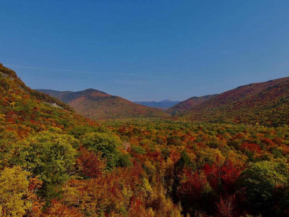 Free Image of Vibrant autumn foliage in mountainous landscape view 