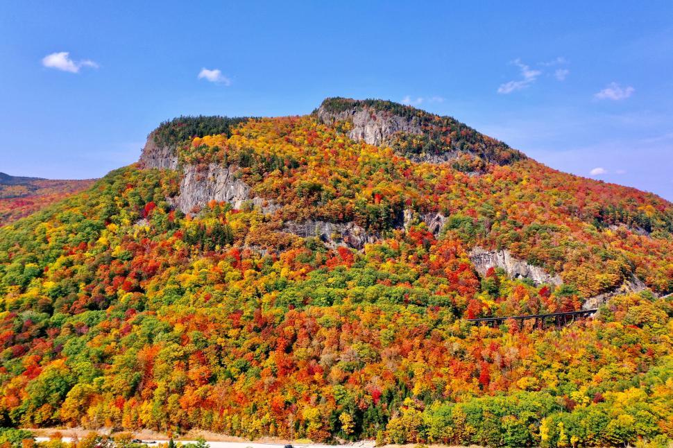 Free Image of Vivid autumn forest landscape with cliffside mountain 