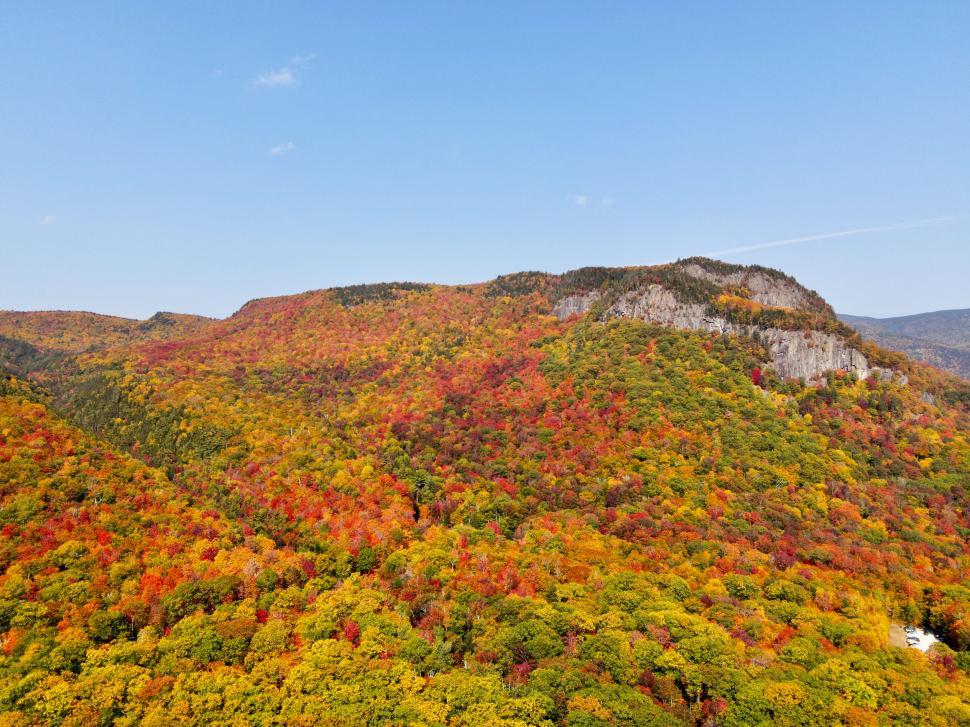 Free Image of Autumn leaves in vivid colors covering rolling mountain 