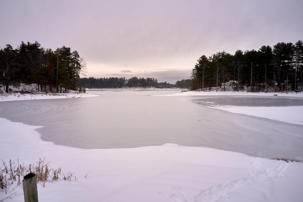 Free Image of A frozen lake surrounded by snow-covered trees 